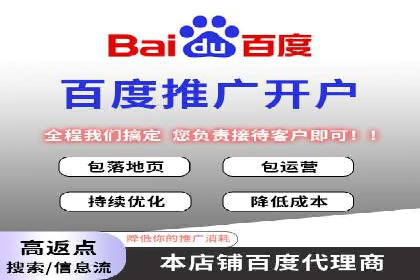 百度品牌广告的创意与执行案例